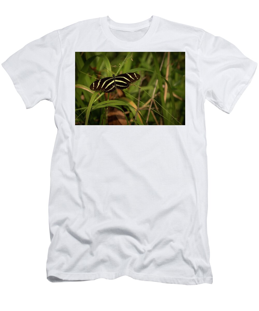Swr T-Shirt featuring the photograph Zebra Longwing by Ray Silva