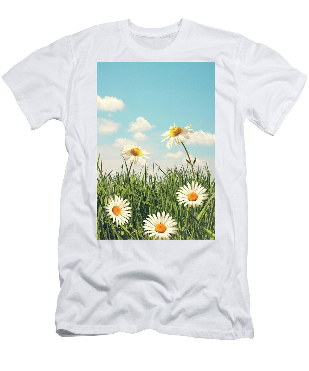 Daisy T-Shirt featuring the photograph Daisies on a blue sky background #1 by Ethiriel Photography