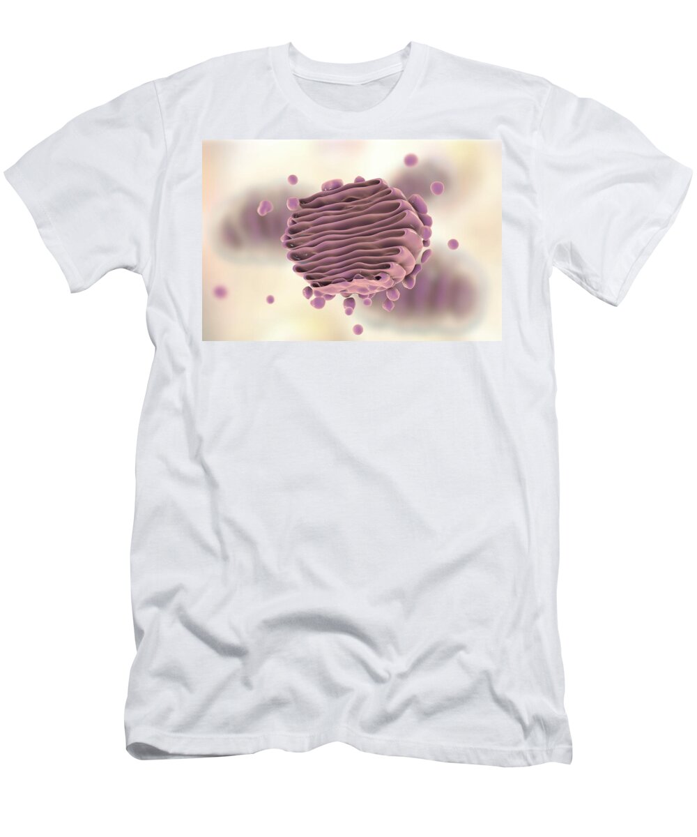 Apparatus T-Shirt featuring the photograph Golgi Apparatus, Illustration #1 by Kateryna Kon