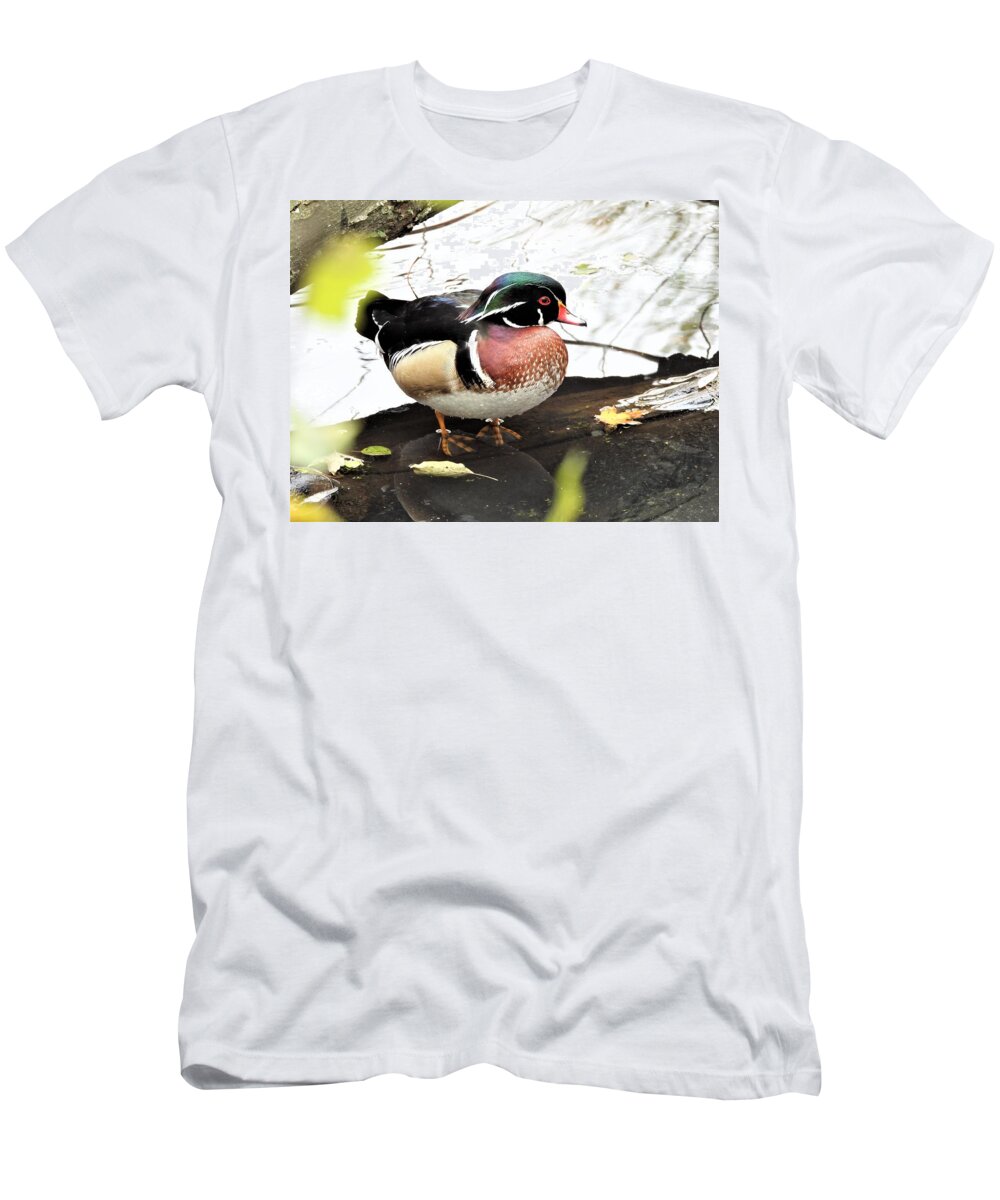 Duck T-Shirt featuring the photograph Mr. Wood Duck #1 by Betty-Anne McDonald