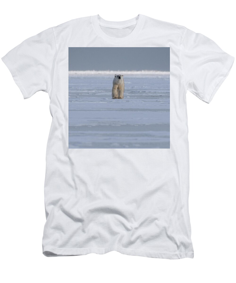 Bear T-Shirt featuring the photograph The Stare #1 by Mark Hunter