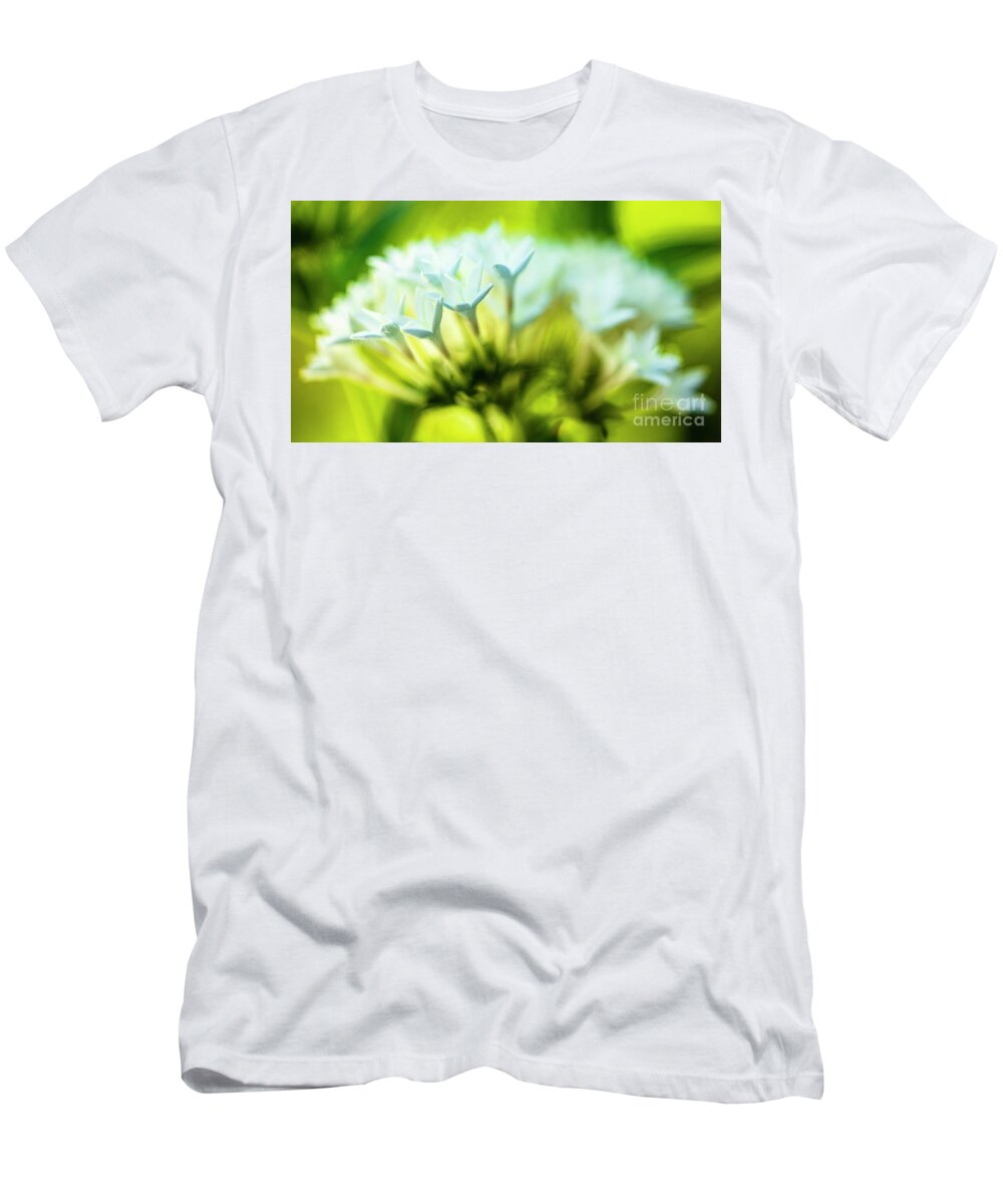 Background T-Shirt featuring the photograph White Pentas Flowers #1 by Raul Rodriguez