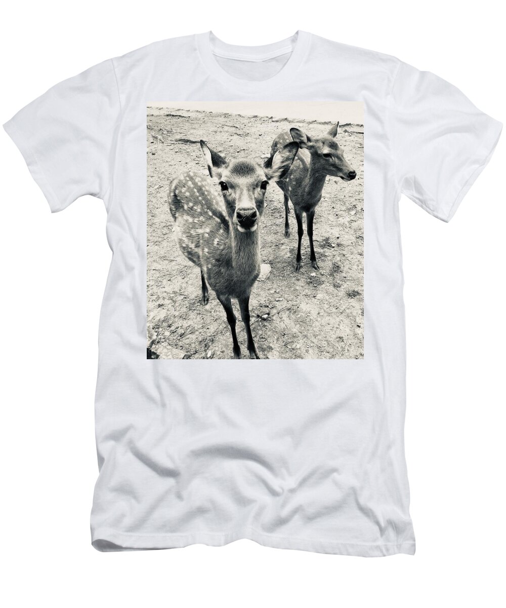 Deer T-Shirt featuring the photograph Two deer #1 by Batabatabat Batayan