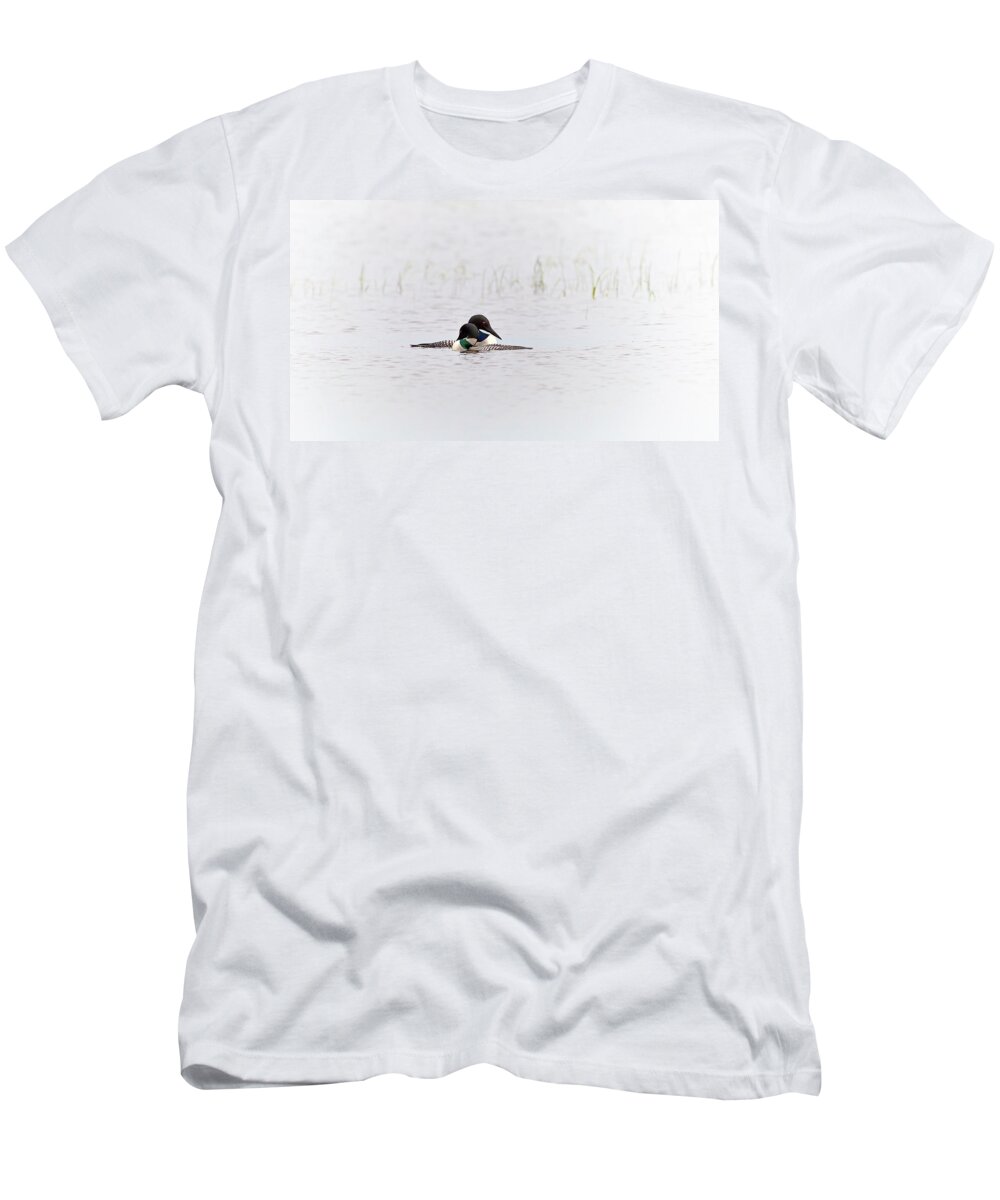 Common Loon T-Shirt featuring the photograph A pair of Loons in mating colors by Al Mueller