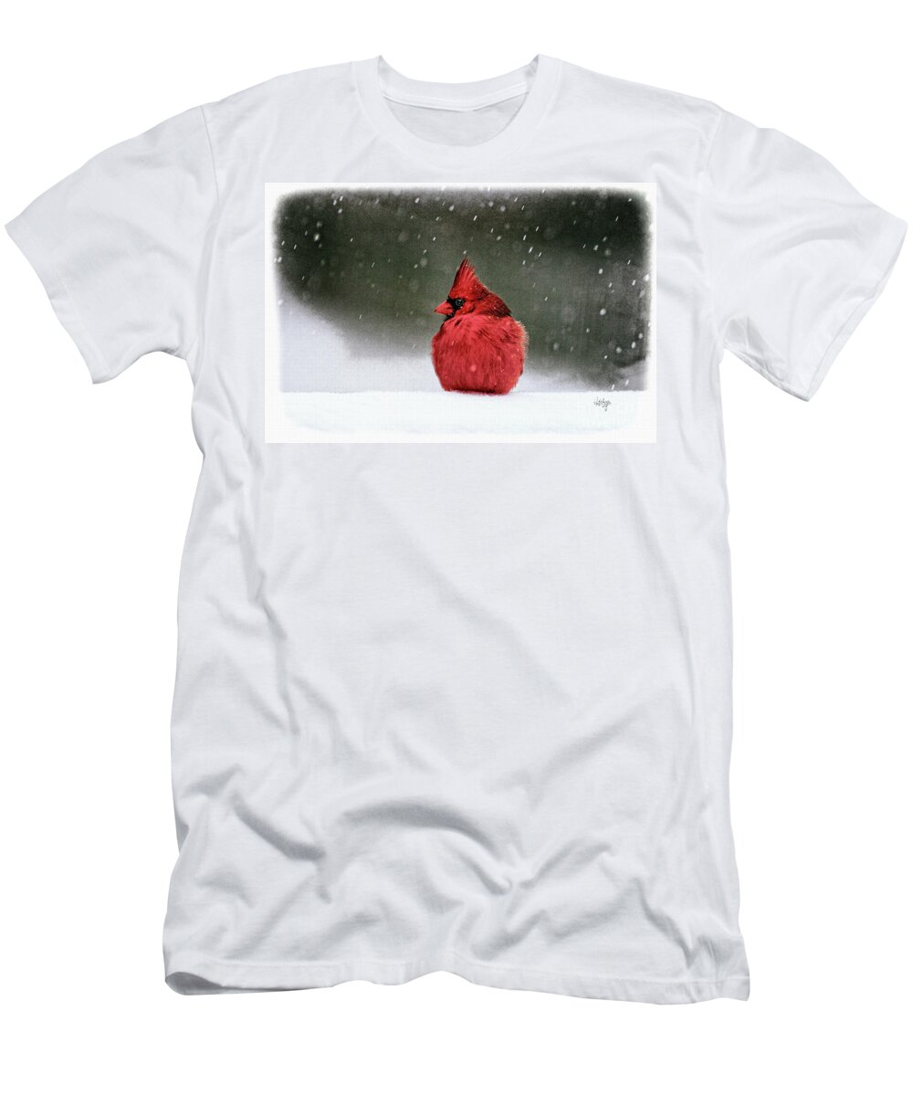 Cardinal T-Shirt featuring the photograph A Ruby In The Snow by Lois Bryan