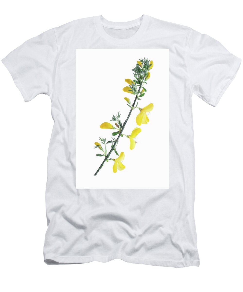 Ip_12383504 T-Shirt featuring the photograph A Stalk Of St. John's Wort With Flowers by Jean-paul Chassenet