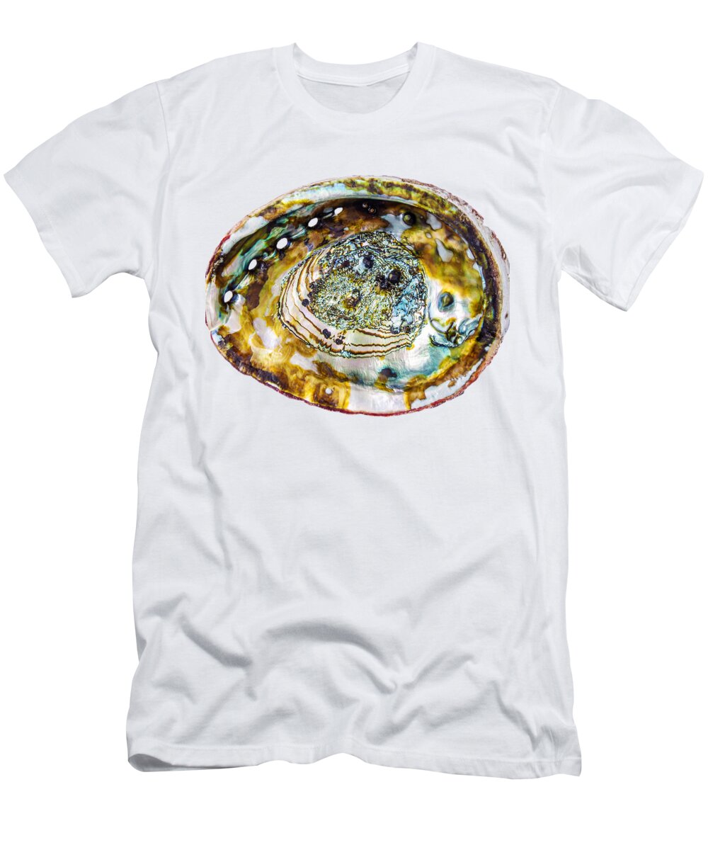 Abalone Shell T-Shirt featuring the photograph Abalone10 by Andy Frasheski