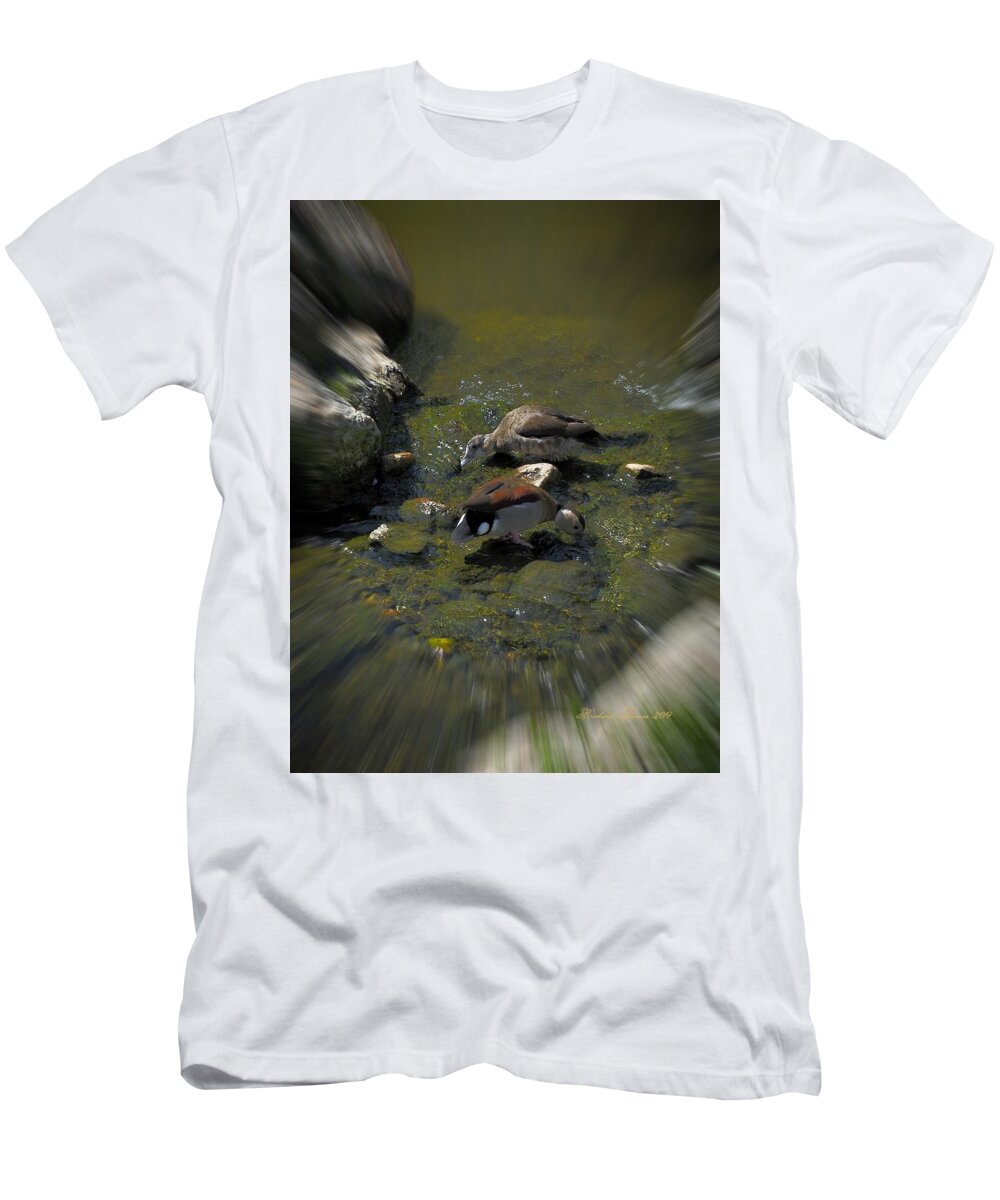 Animal T-Shirt featuring the photograph Whistling Ducks by Richard Thomas
