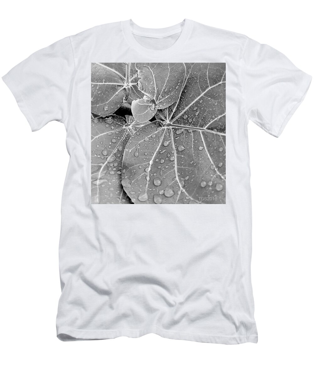 Mazatlan T-Shirt featuring the photograph After the rain by Teresa G Smith