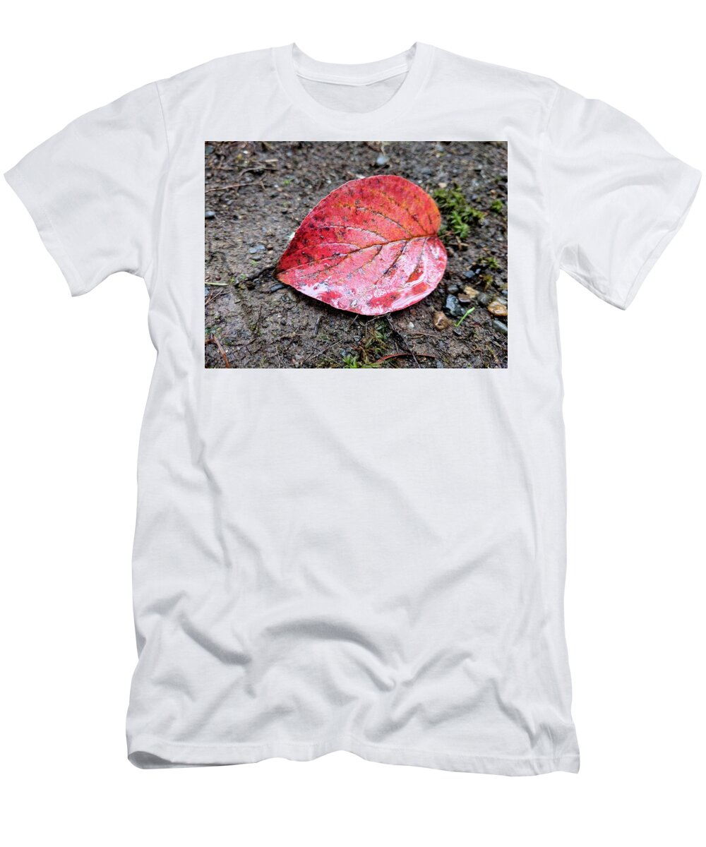 Red T-Shirt featuring the photograph Autumnal by Misty Morehead