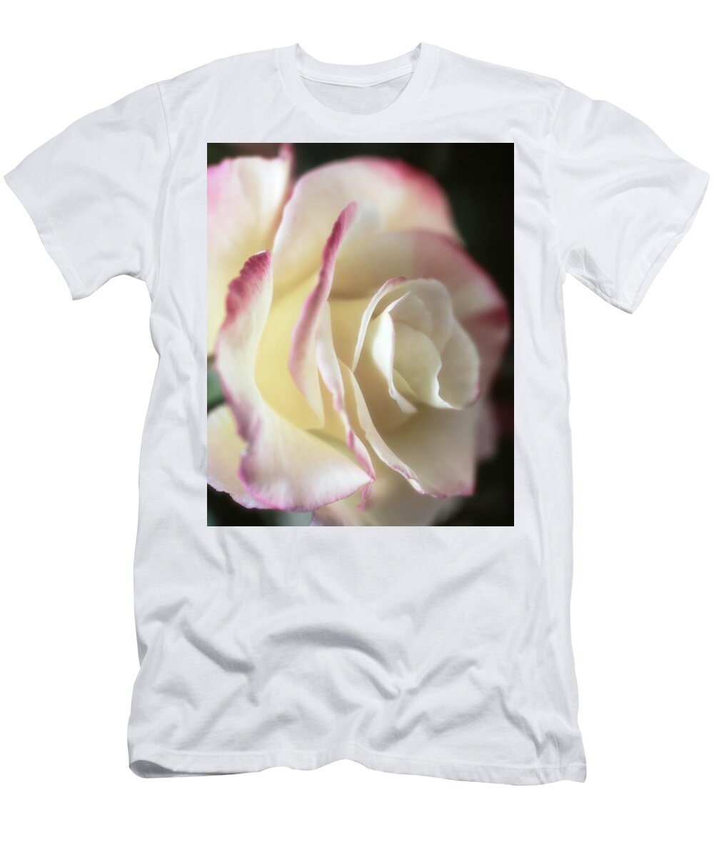 Rose T-Shirt featuring the photograph Back-lit Beauty by TL Wilson Photography by Teresa Wilson