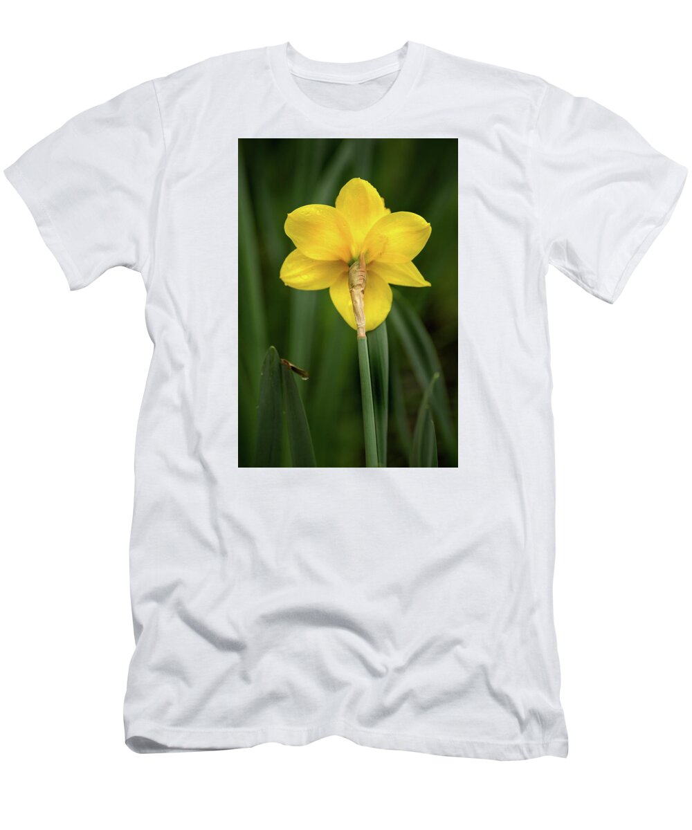 Flower T-Shirt featuring the photograph Back of Daffodil by Don Johnson