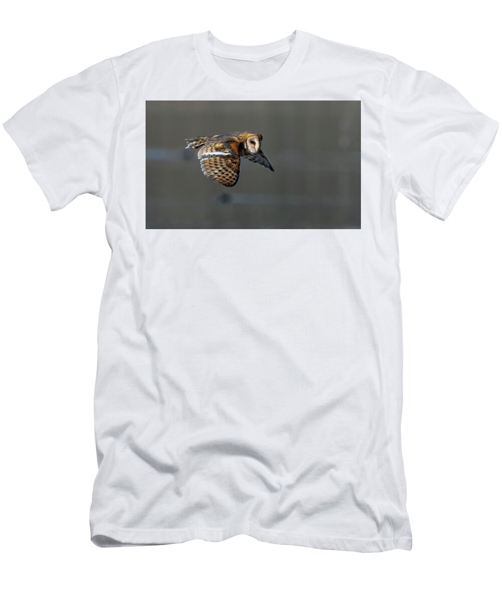 Barn Owl T-Shirt featuring the photograph Barn Owl in flight 2 by Rick Mosher