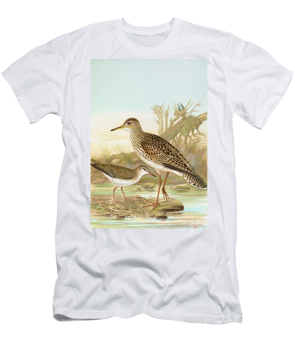 Bird T-Shirt featuring the painting Bartramia Longicauda, Tringoides Macularius by Johann Friedrich Naumann