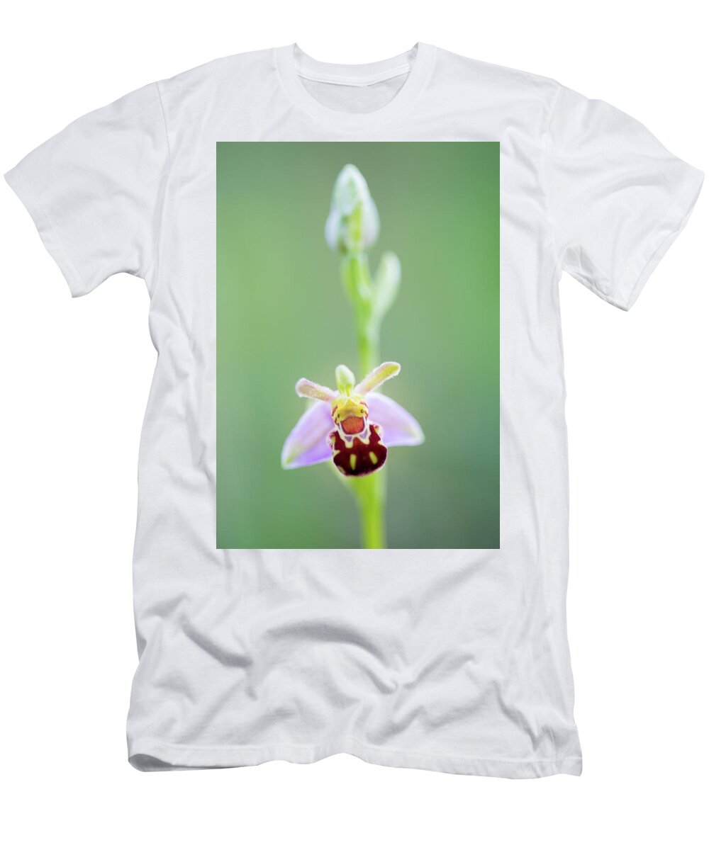  T-Shirt featuring the photograph Bee Orchid by Anita Nicholson