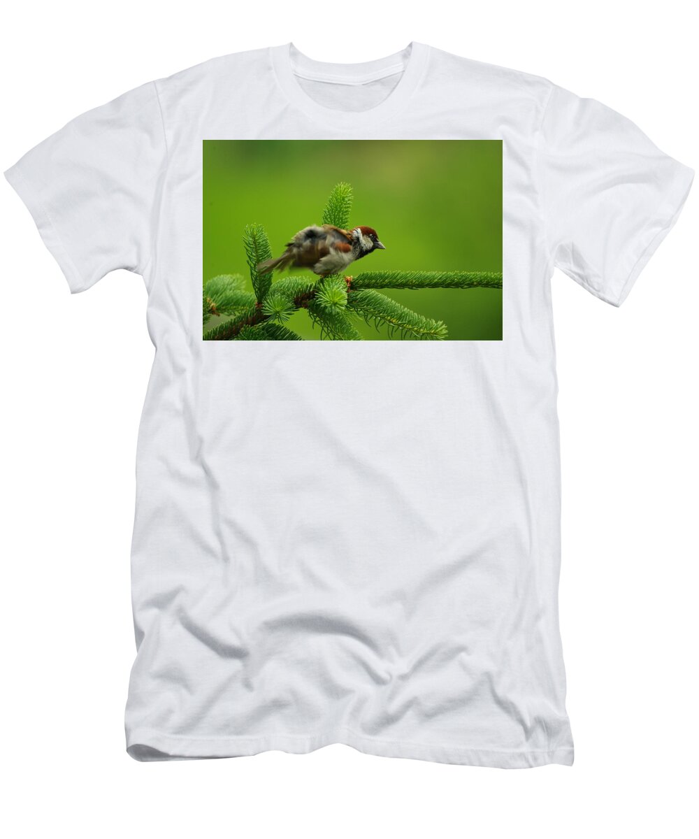 Animali T-Shirt featuring the photograph Bellissimo Passerotto by Simone Lucchesi