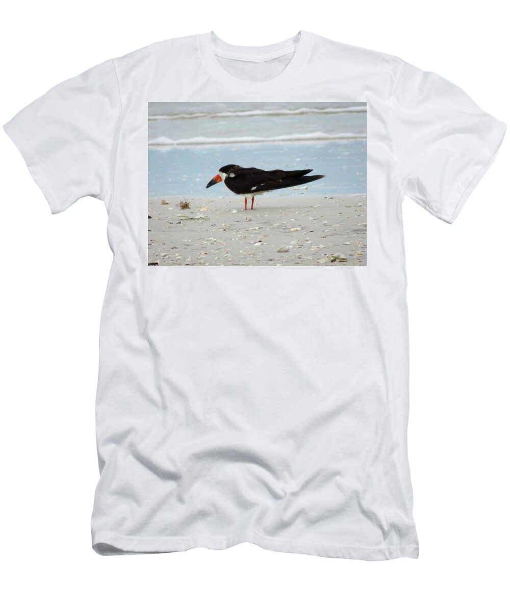 Birds T-Shirt featuring the photograph Black Skimmer by Karen Stansberry