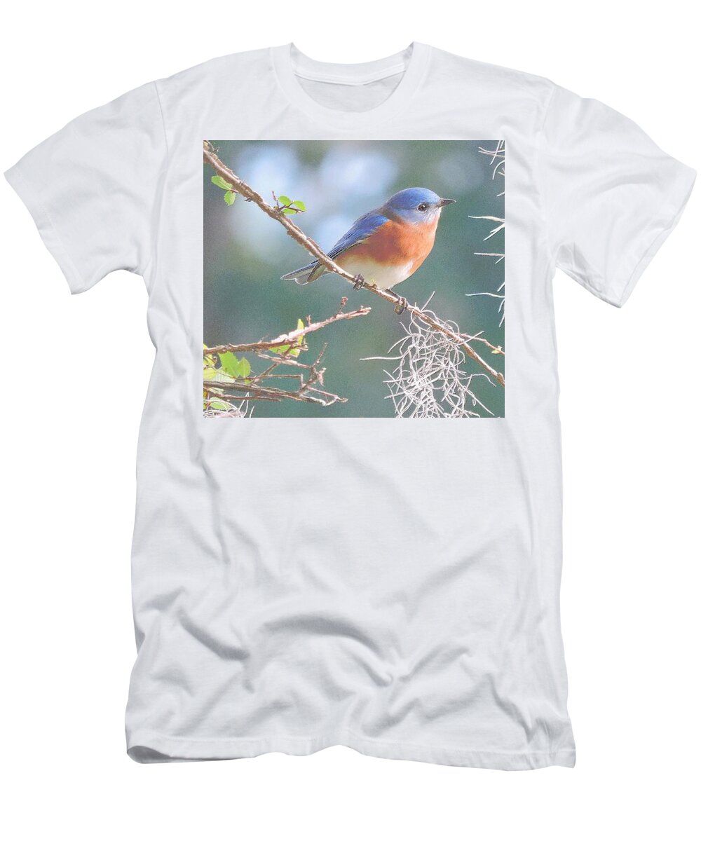 Bluebird T-Shirt featuring the photograph Bluebird In Dixie by Tami Quigley