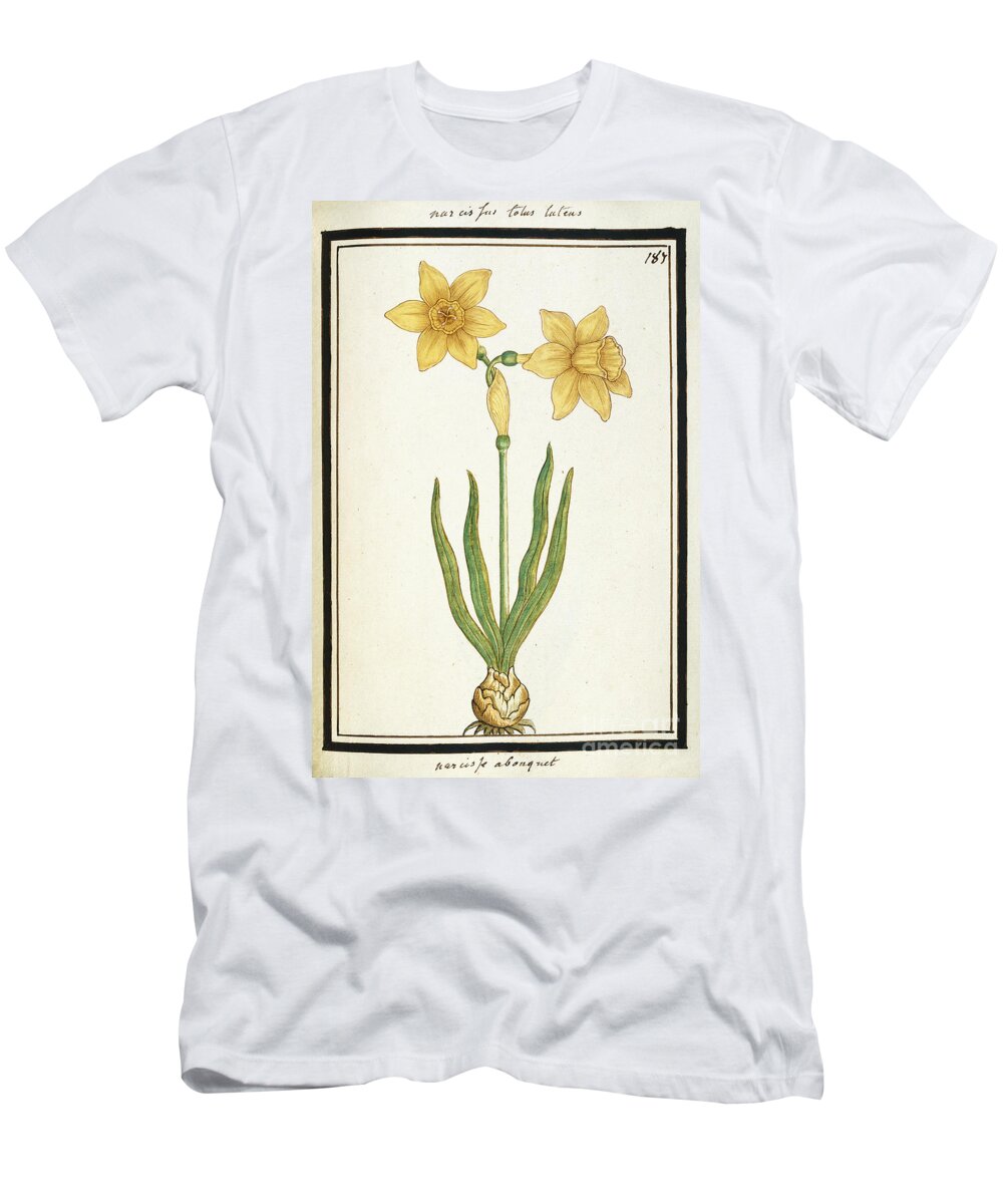 18th Century T-Shirt featuring the painting Bouquet Narcissus, C.1700 by French School
