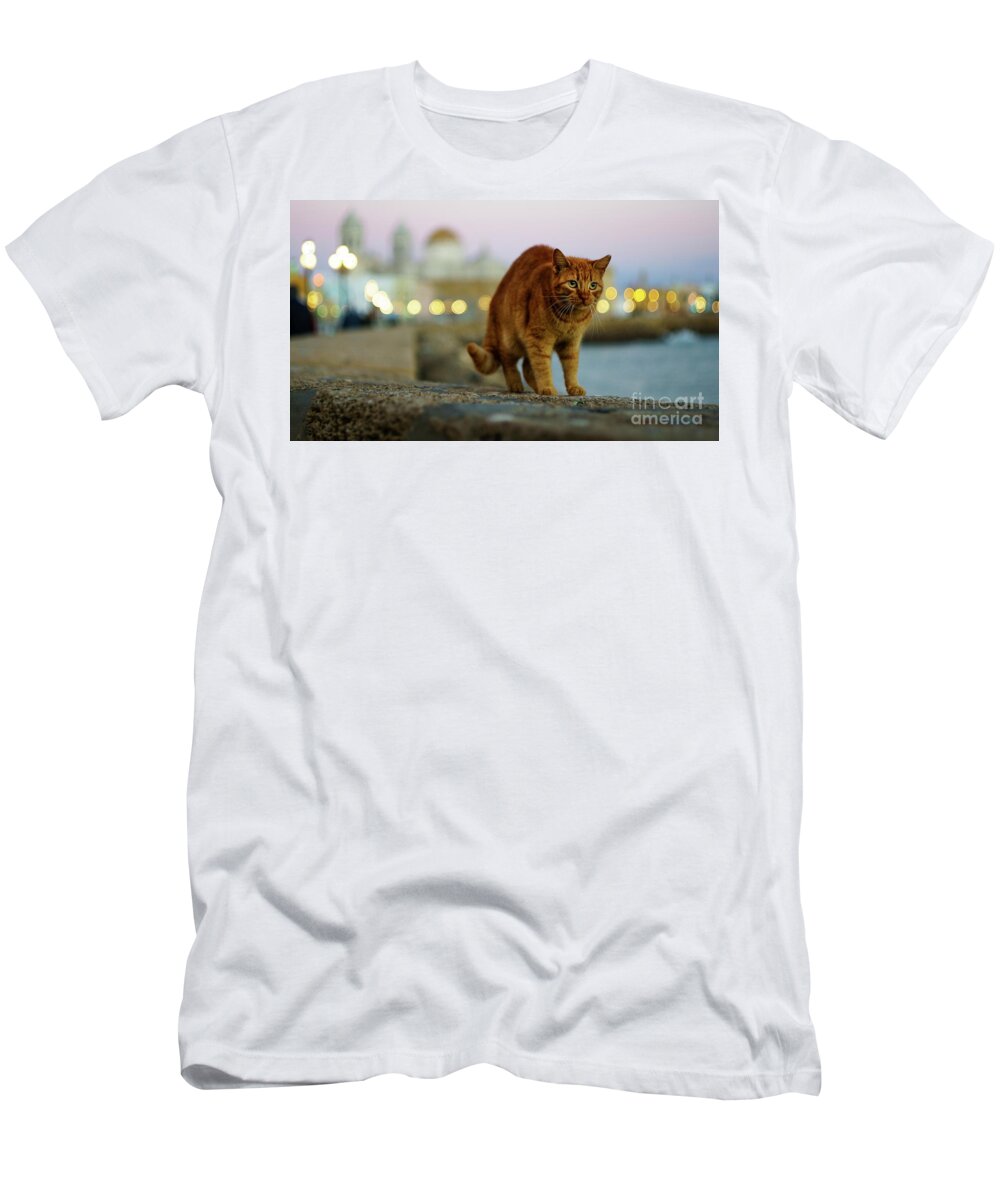 Vacation T-Shirt featuring the photograph Brown Cat and Cathedral by the Sea Cadiz Spain by Pablo Avanzini