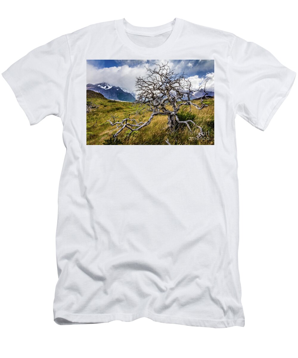 Tree T-Shirt featuring the photograph Burnt tree, Torres del Paine, Chile by Lyl Dil Creations