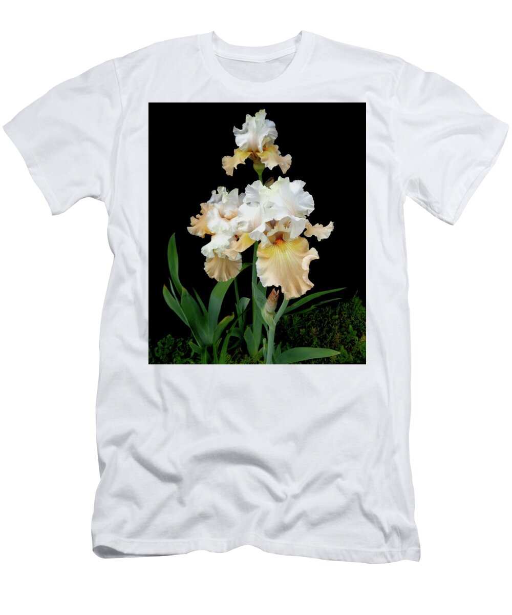 Iris T-Shirt featuring the photograph Champagne Elegance Irises by Tara Hutton