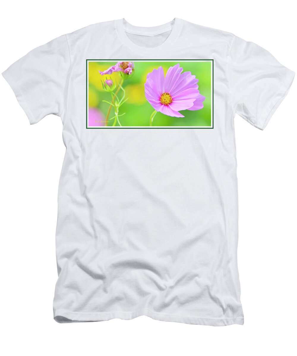 Color T-Shirt featuring the photograph Cosmos Flower in Full Bloom, Bud by A Macarthur Gurmankin