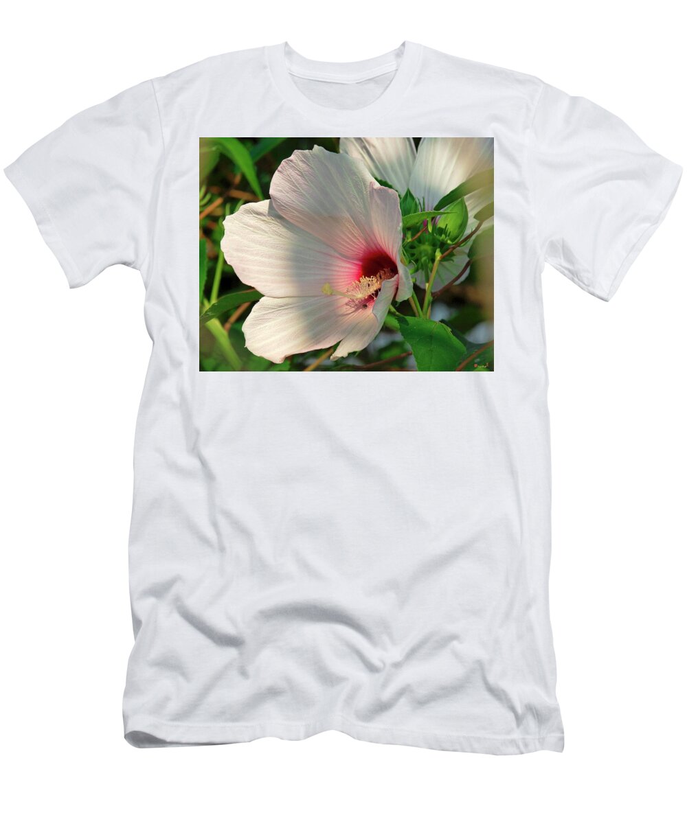Nature T-Shirt featuring the photograph Crimson-eyed Rosemallow DSMF0104 by Gerry Gantt