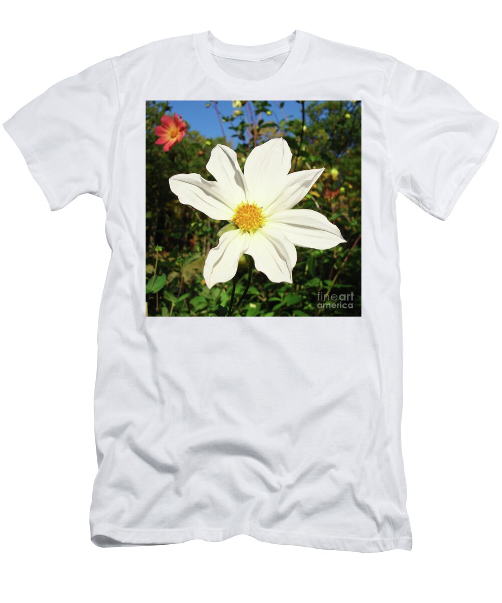 Dahlia T-Shirt featuring the photograph Dahlia 17 by Amy E Fraser