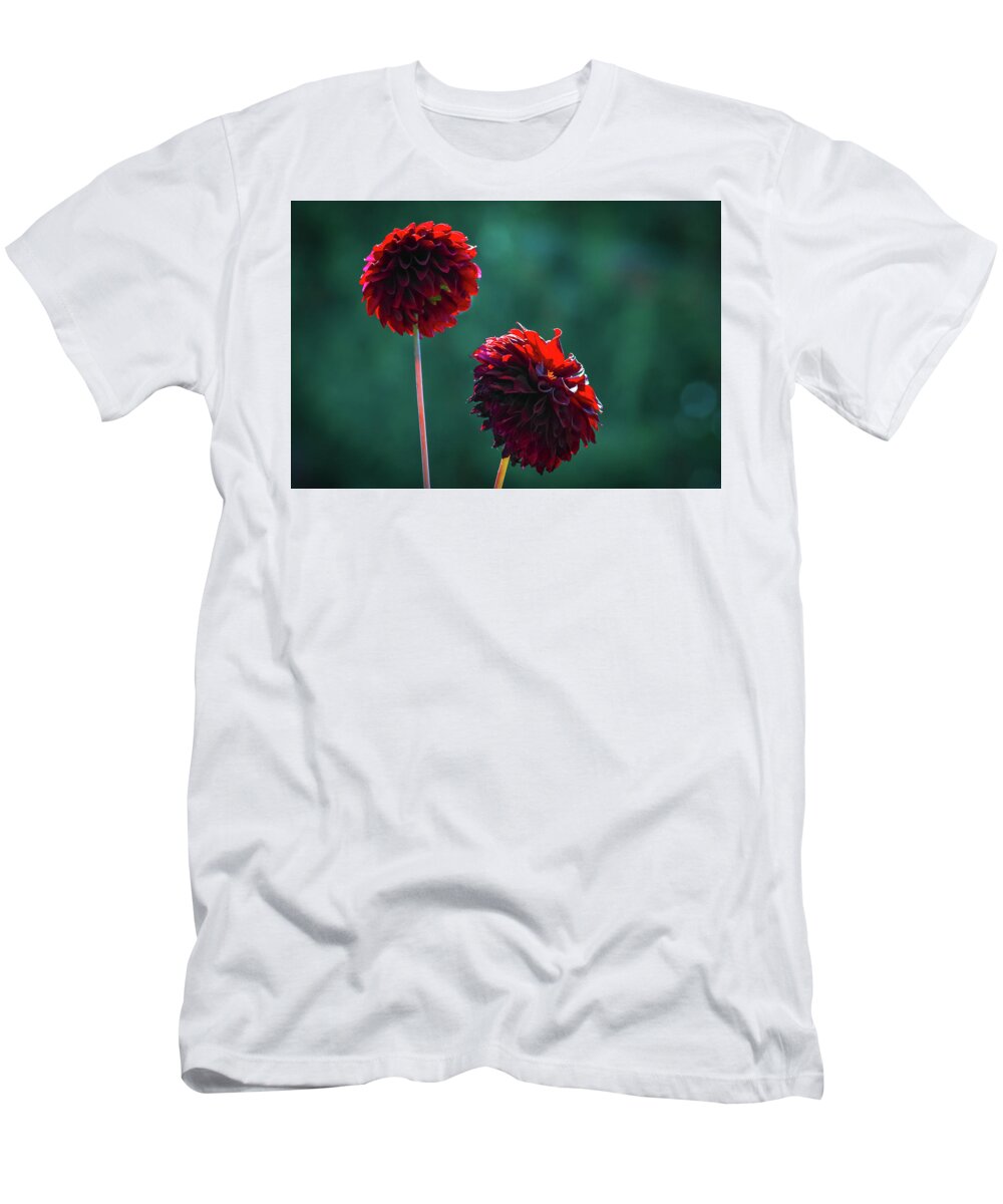 Flower T-Shirt featuring the photograph Dahlias by Anamar Pictures
