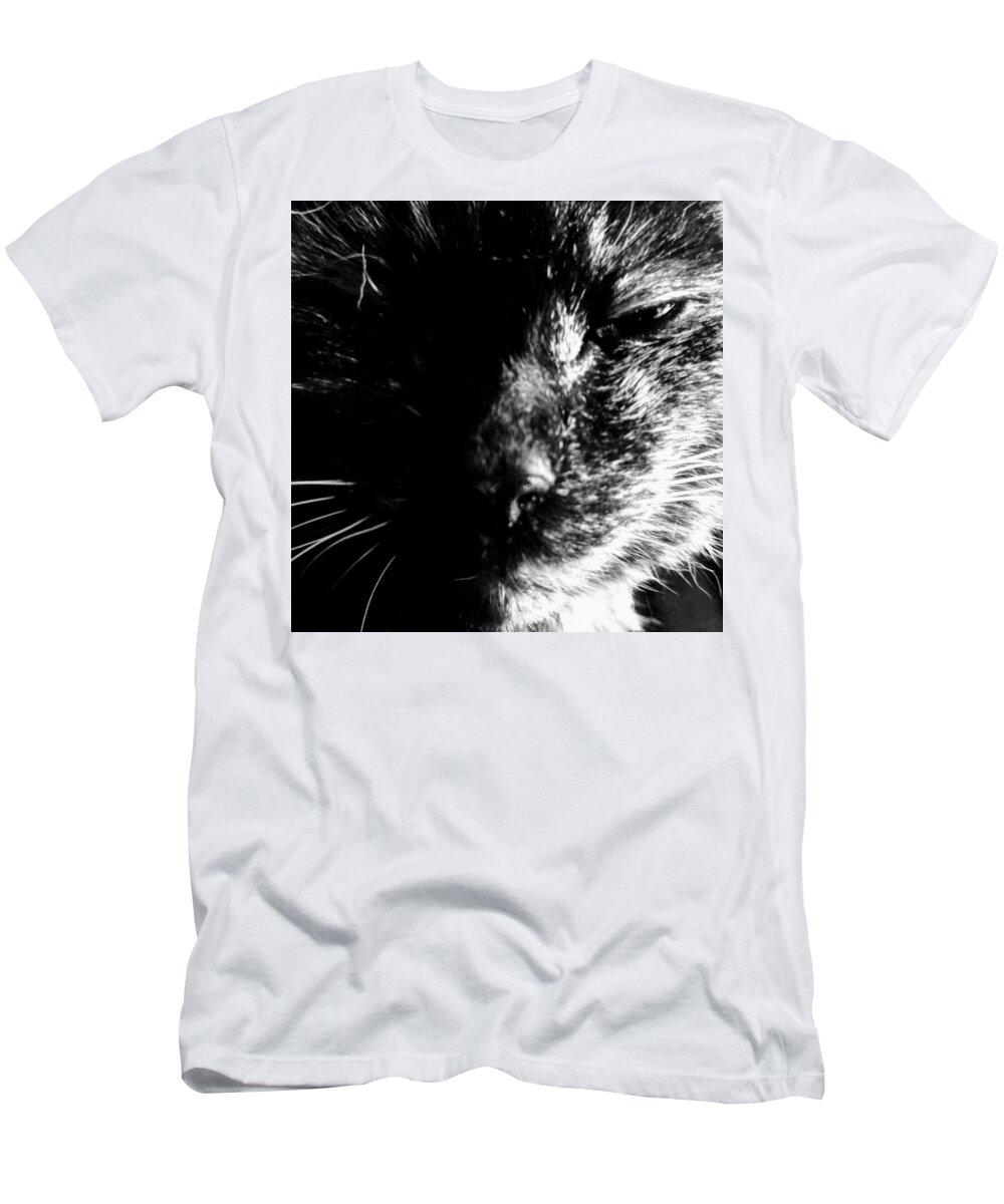 Cat T-Shirt featuring the photograph Deep Thoughts by Misty Morehead