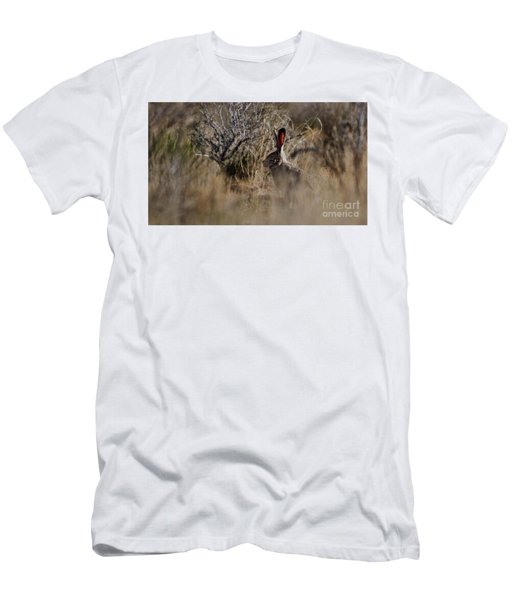 Desert Rabbit T-Shirt featuring the photograph Desert Rabbit by Robert WK Clark