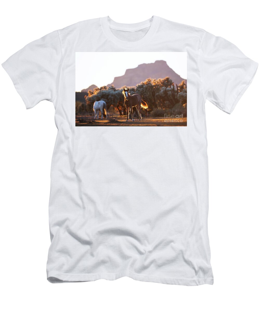 Yearling T-Shirt featuring the photograph Desert View by Shannon Hastings
