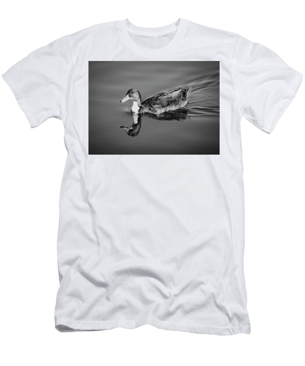 Duck T-Shirt featuring the photograph Duck in Black and White by Alison Frank