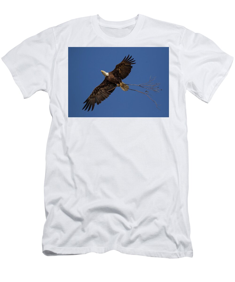 Bald Eagle T-Shirt featuring the photograph Eagle Snag by Beth Sargent