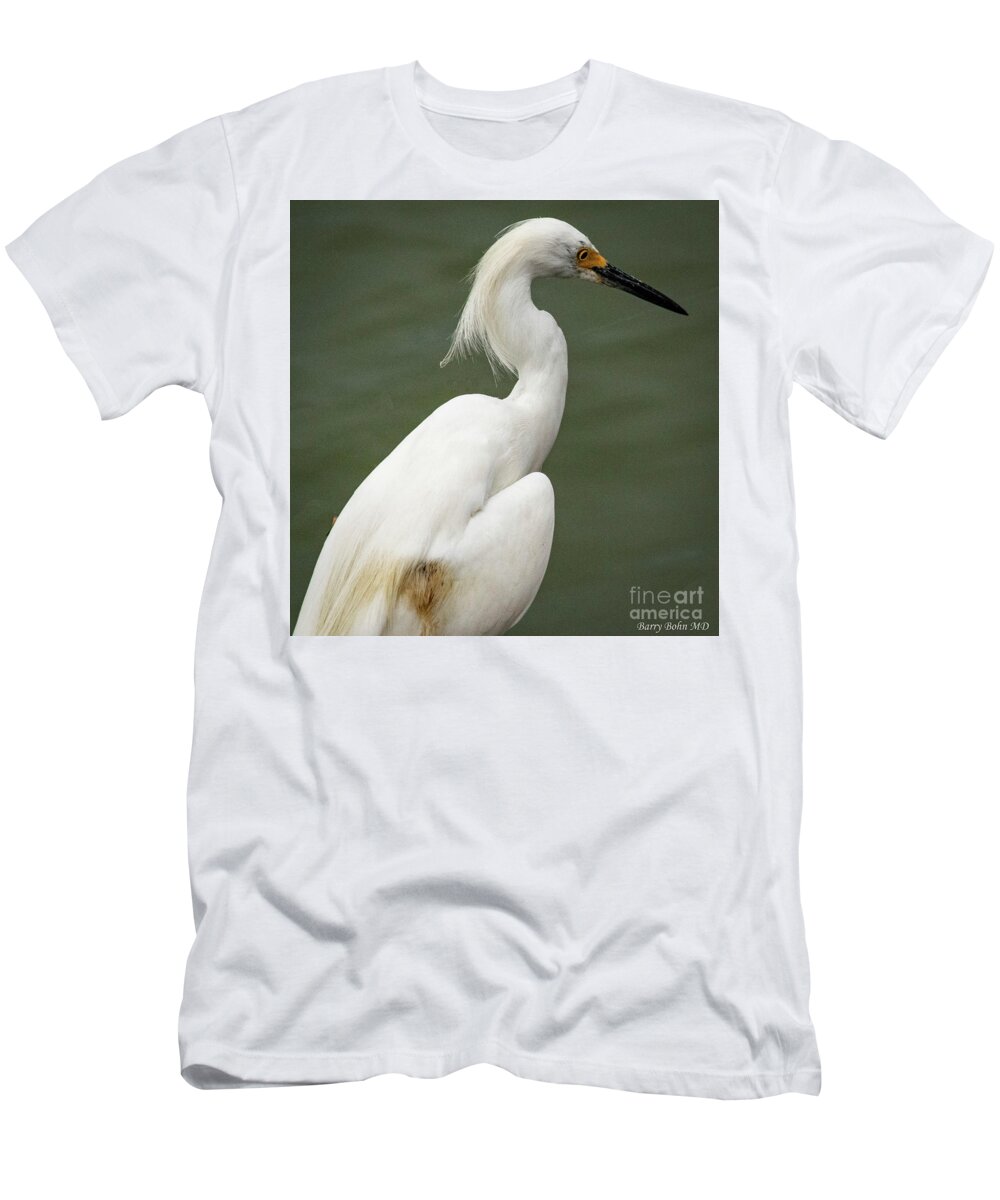 Nature T-Shirt featuring the photograph Egret by Barry Bohn