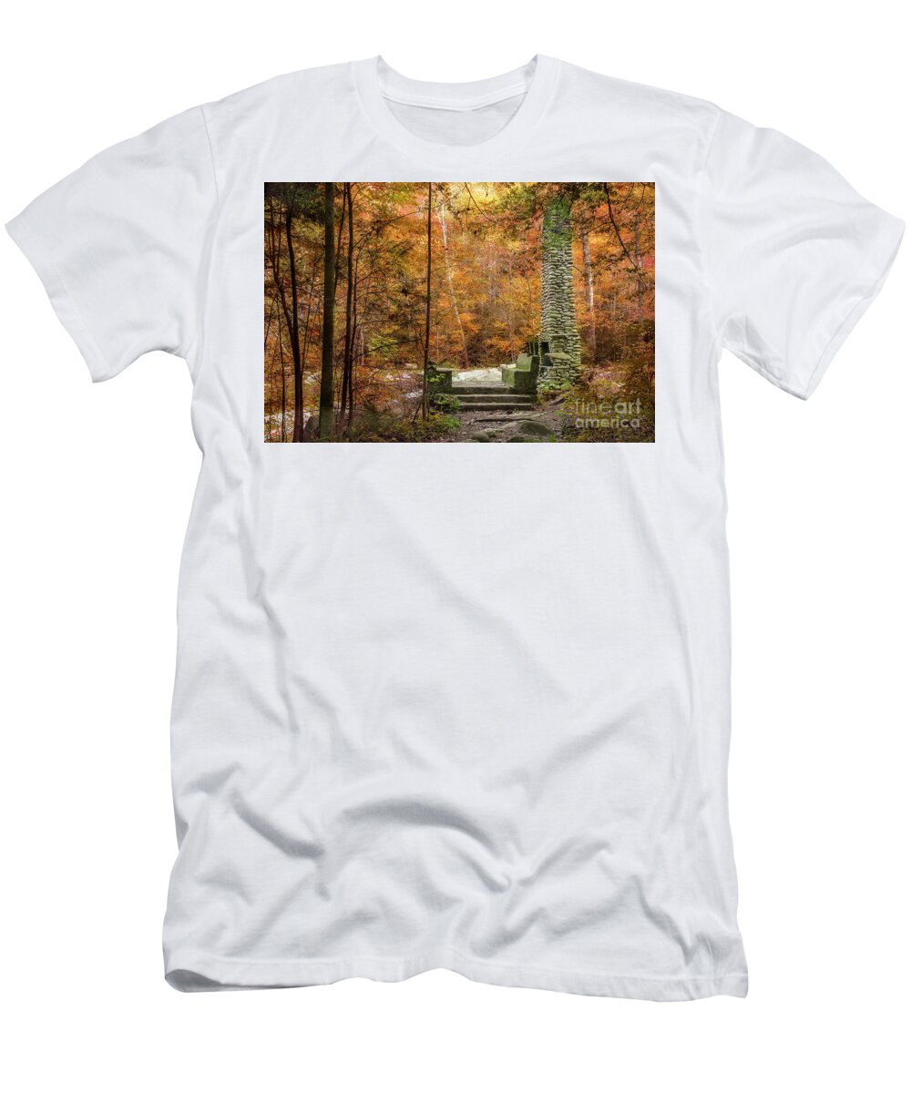 Elkmont T-Shirt featuring the photograph Elkmont Chimney Remains by Mike Eingle