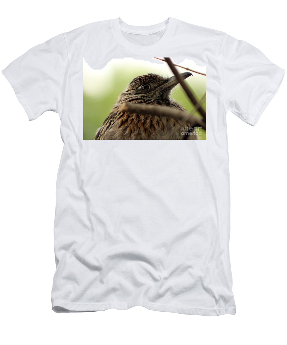 Roadrunner T-Shirt featuring the photograph Eye of the Road Runner by Colleen Cornelius