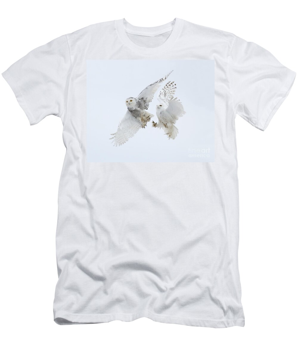 Snowy Owls T-Shirt featuring the photograph Female vs Male 3 of 3 by Heather King