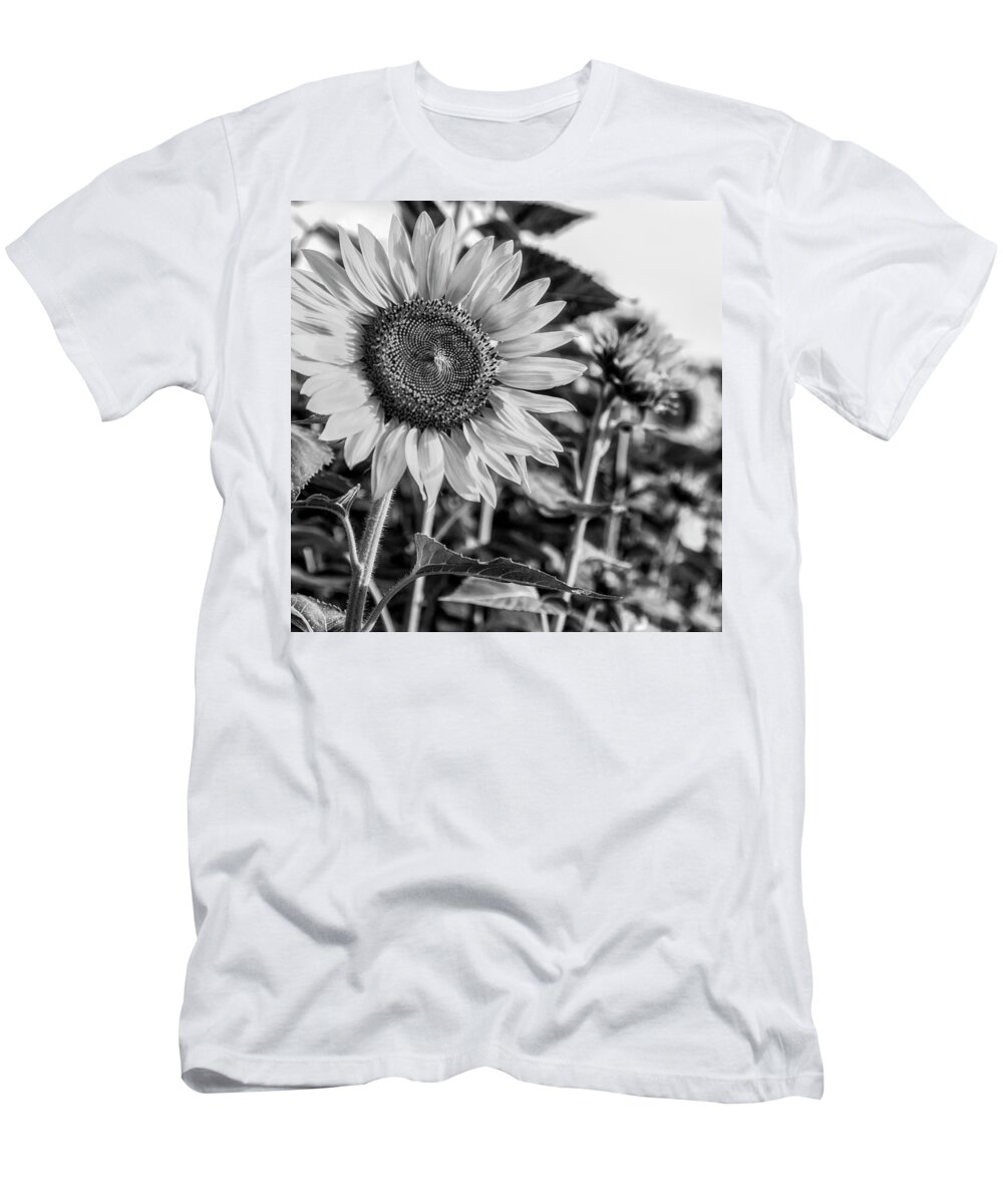 Flower T-Shirt featuring the photograph Field of Flowers by Ray Silva