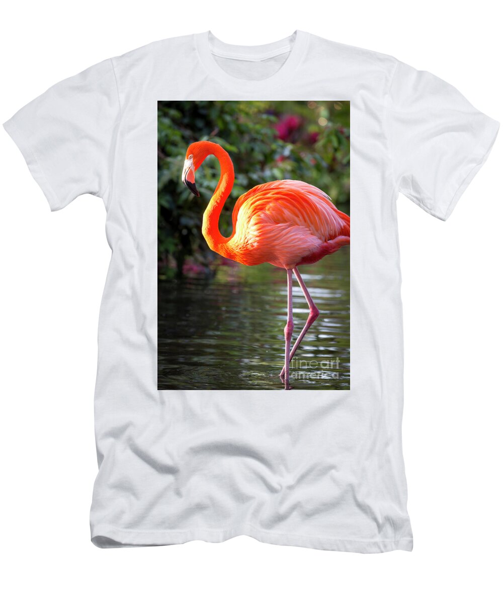 Pink T-Shirt featuring the photograph Flamingo V by Brian Jannsen