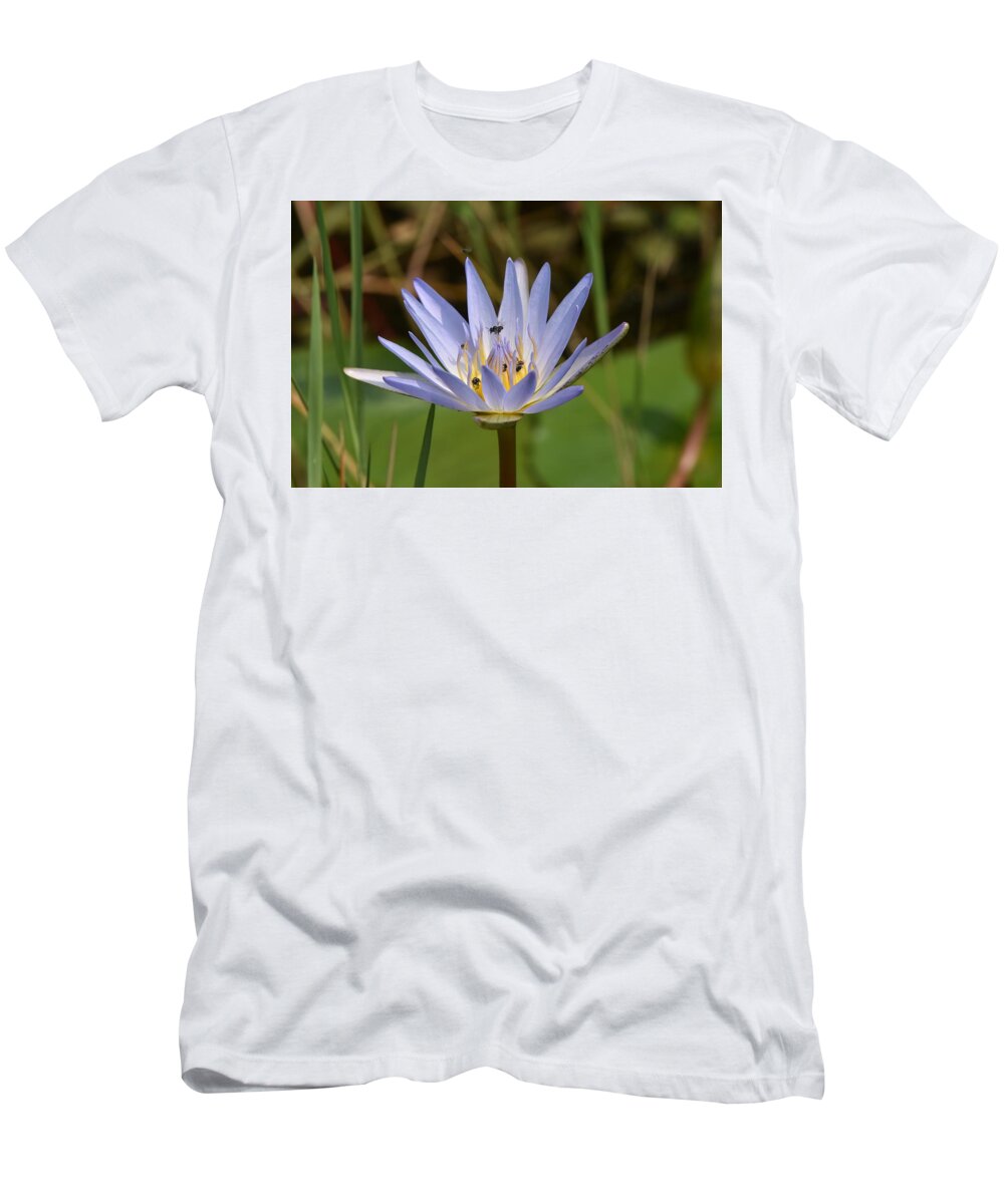 Flower T-Shirt featuring the photograph South African Water Lily With Pollinators by Ben Foster