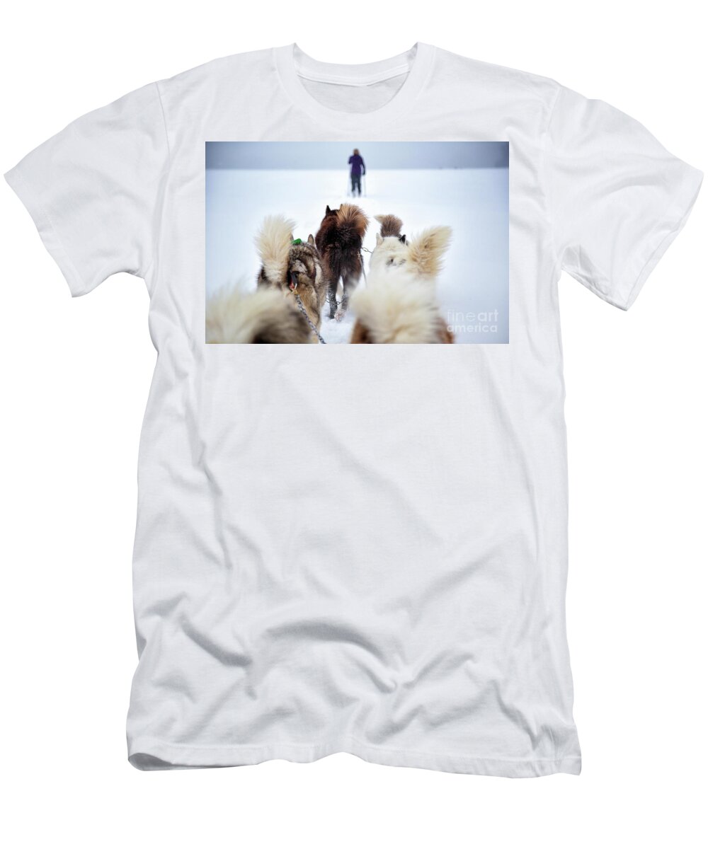 Dog T-Shirt featuring the photograph Fuzzy Tails Across the Snow by Becqi Sherman