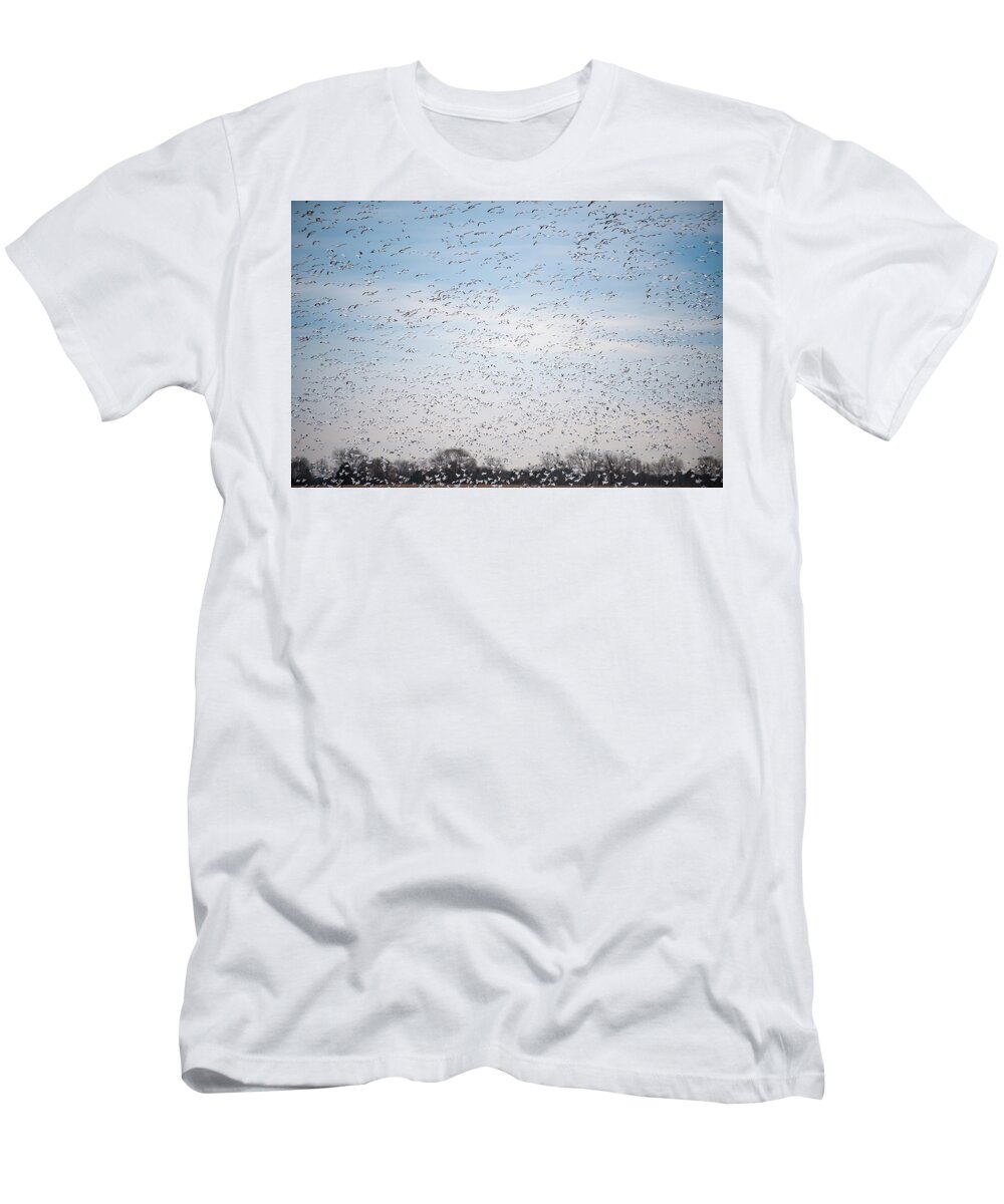 Annapolis T-Shirt featuring the photograph Geese in the Flyway by Mark Duehmig