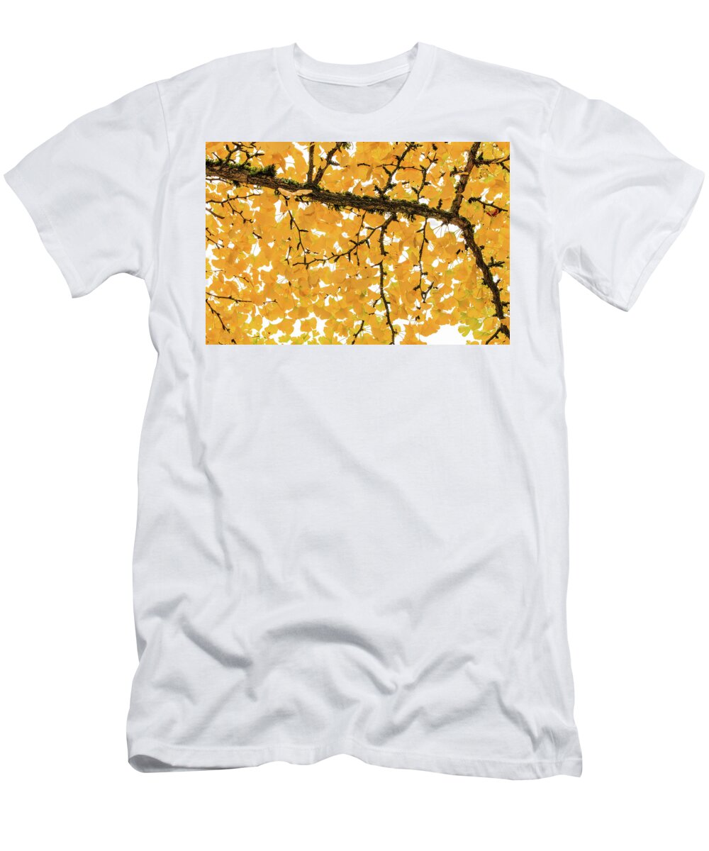 Japanese Garden T-Shirt featuring the photograph Ginkgo Elbowa by Briand Sanderson