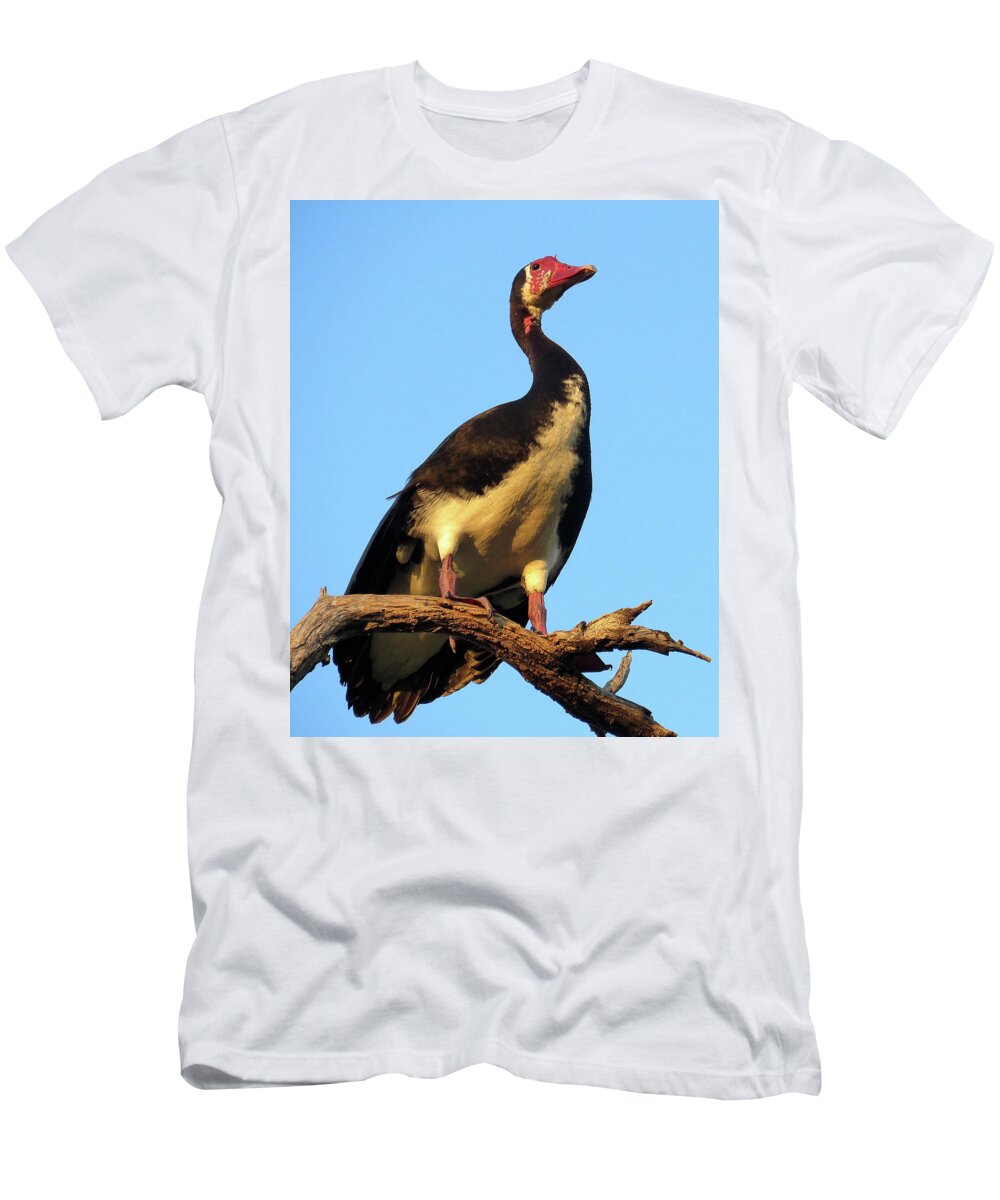 Africa T-Shirt featuring the photograph Goose by Eric Pengelly