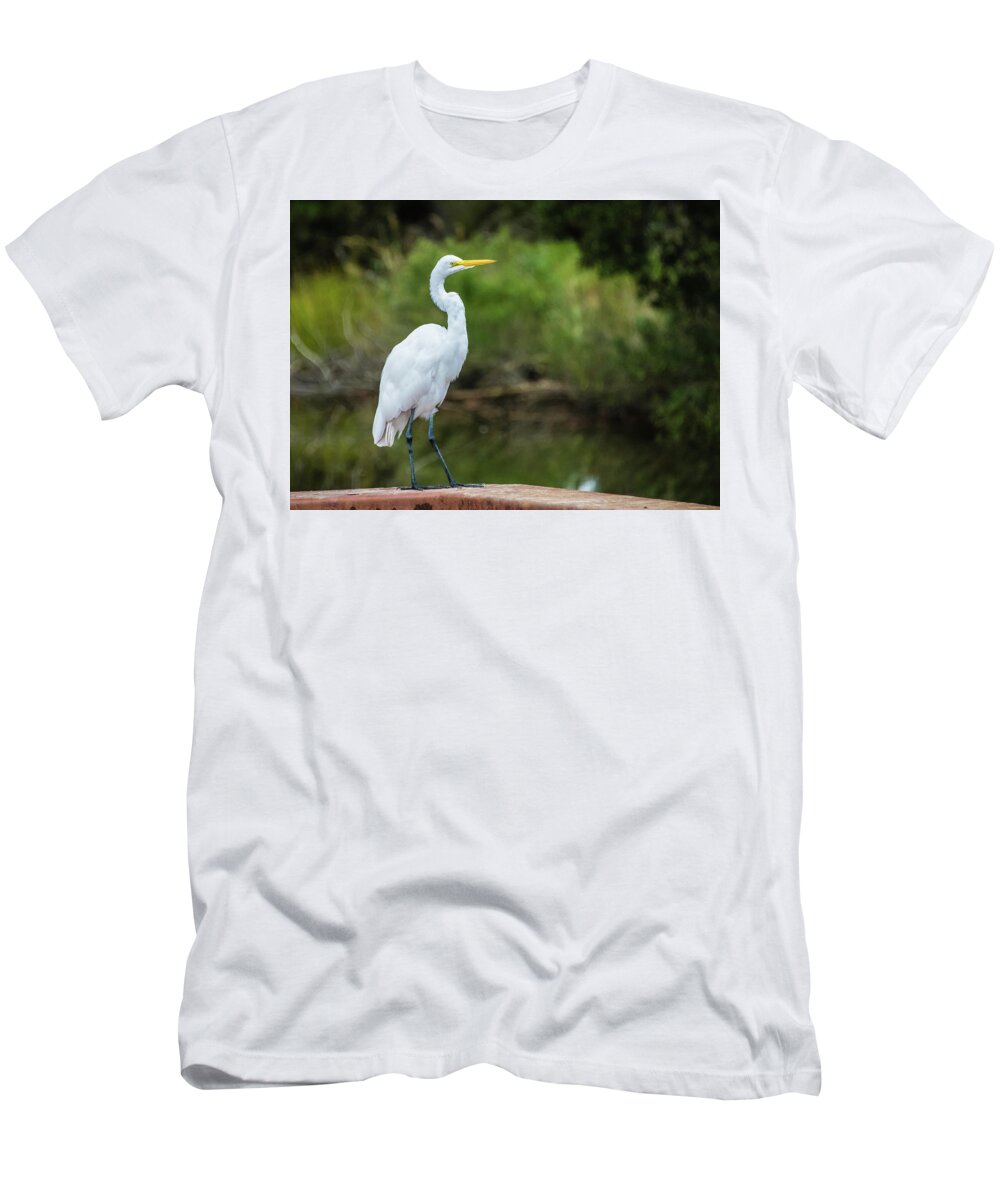 Egret T-Shirt featuring the photograph Great Egret by Jennifer Ancker