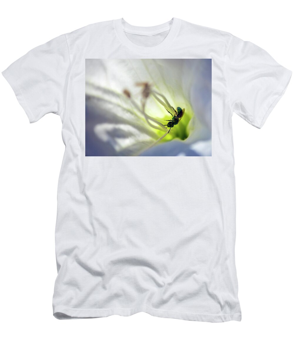 Bee T-Shirt featuring the photograph Green Bee Datura Daydream by Jonathan Thompson