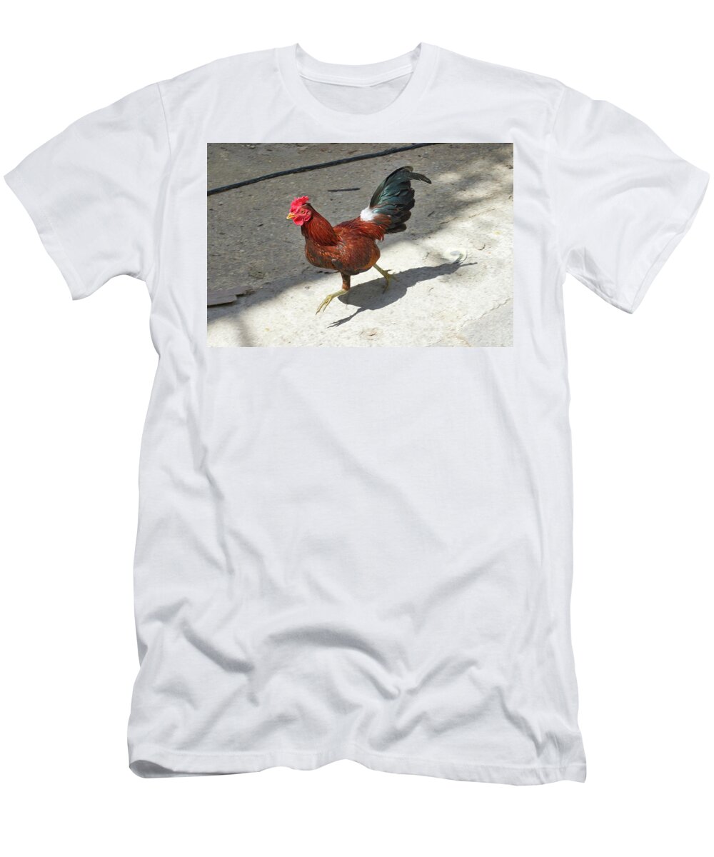 Rooster T-Shirt featuring the photograph Havana Rooster by Paul Rebmann