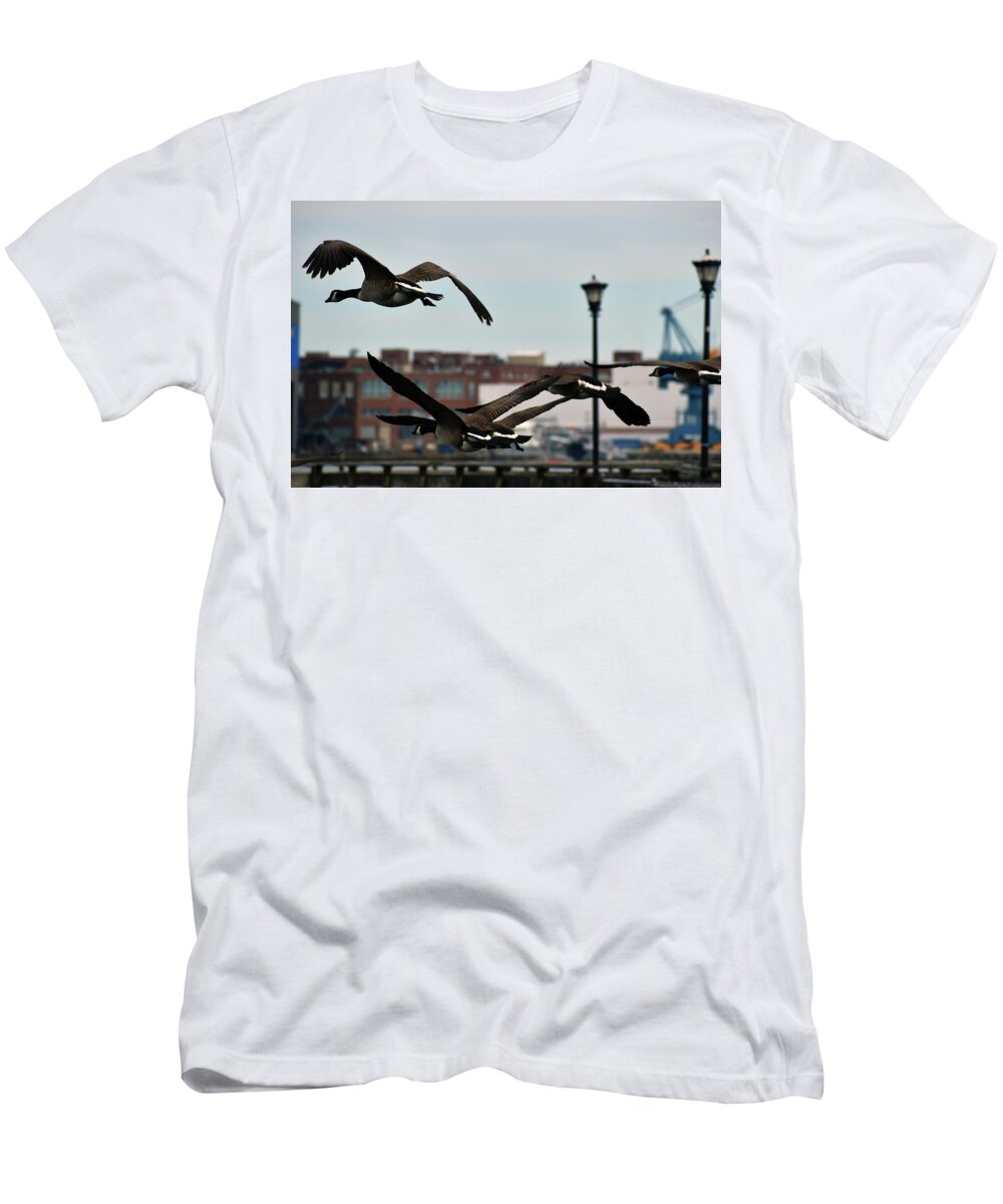 Bird T-Shirt featuring the photograph Heralding Springs Arrival by Vicky Edgerly